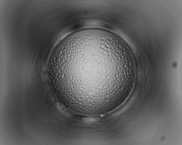 X0000103501145200809121732