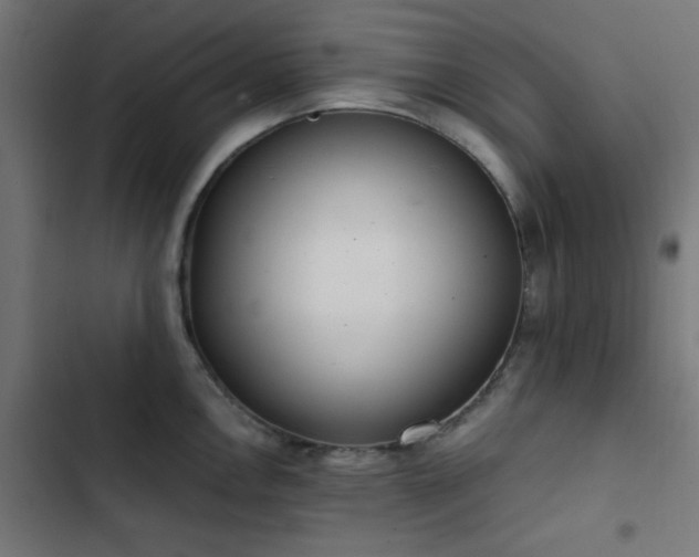 X0000103501146200809121732