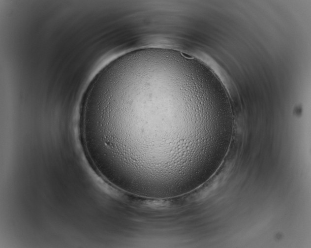 X0000103501147200809121732