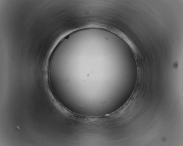 X0000103501148200809121732