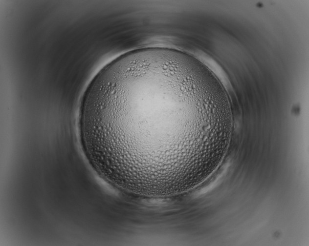 X0000103501149200809121732