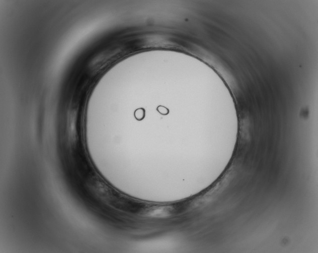 X0000103501150200809121732