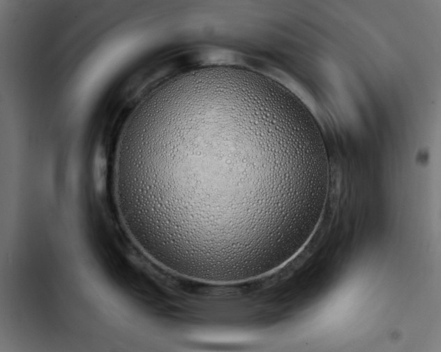 X0000103501151200809121732