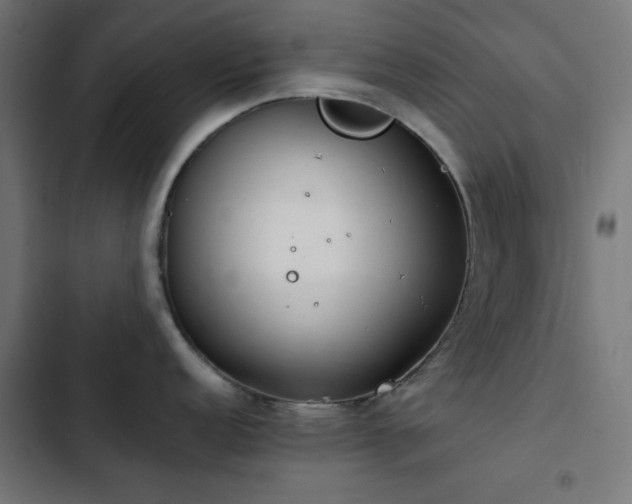 X0000103501152200809121733