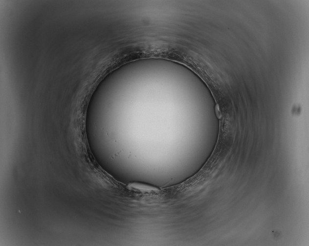 X0000103501153200809121732