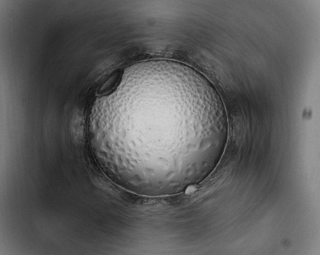 X0000103501154200809121732