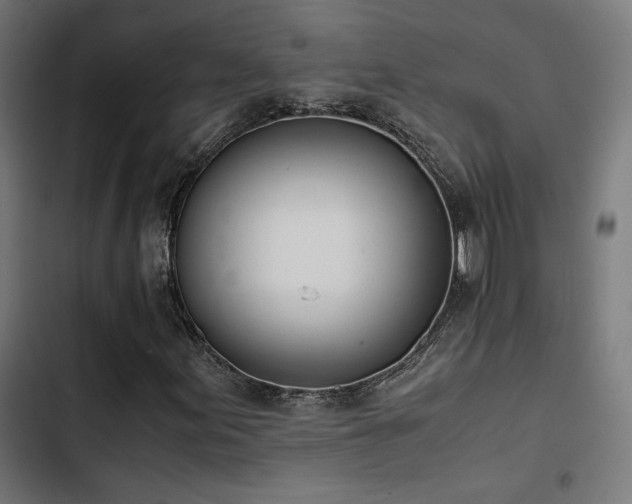 X0000103501155200809121732