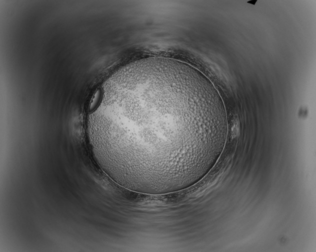 X0000103501156200809121732