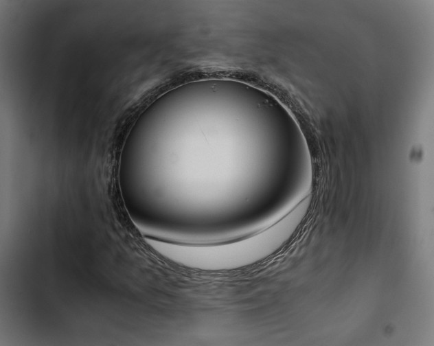 X0000103501157200809121732