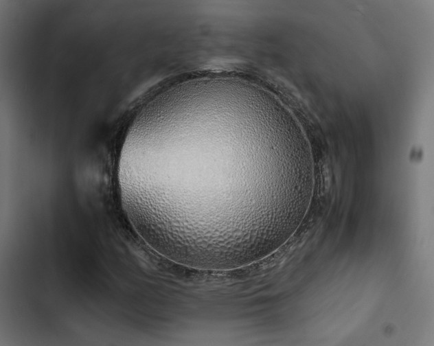 X0000103501158200809121732