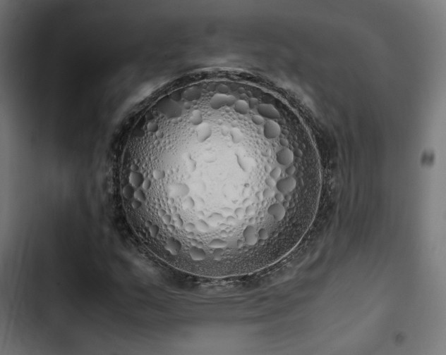 X0000103501159200809121732