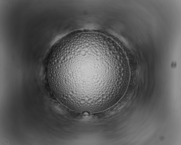 X0000103501160200809121732