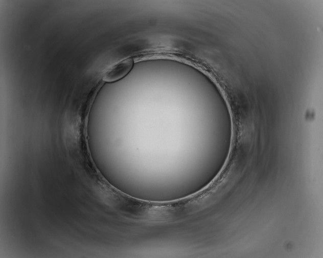 X0000103501161200809121732