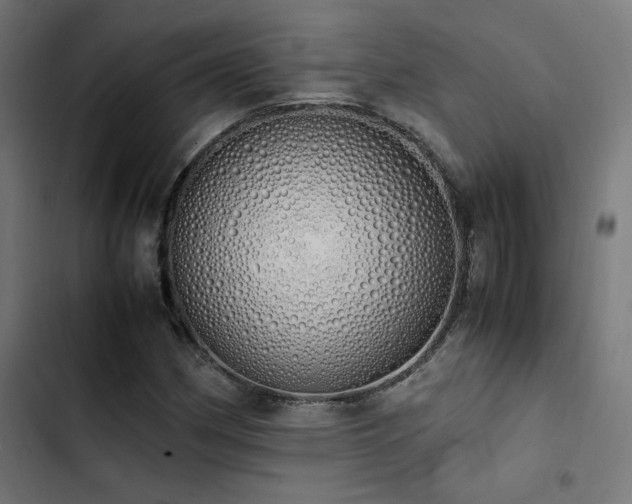 X0000103501162200809121732