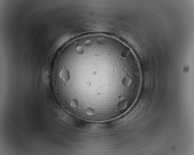 X0000103501163200809121732