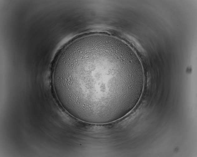 X0000103501164200809121732