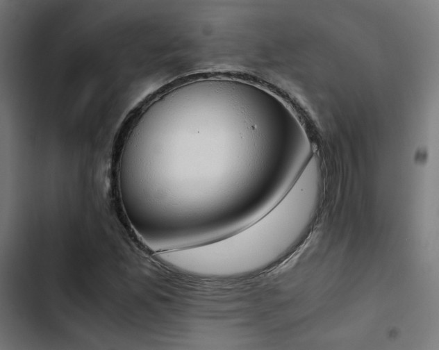 X0000103501165200809121732