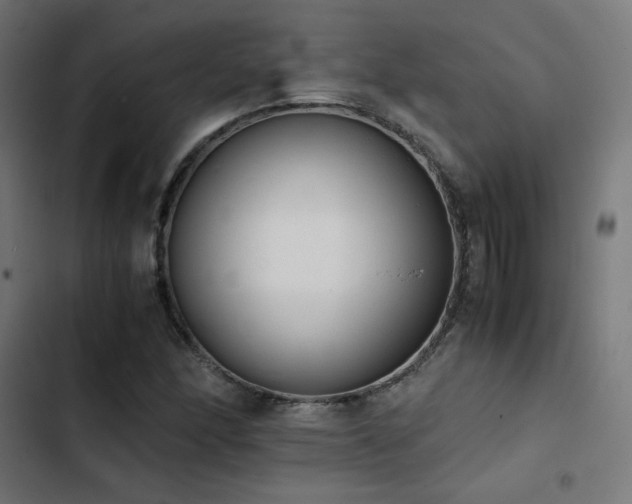 X0000103501166200809121732