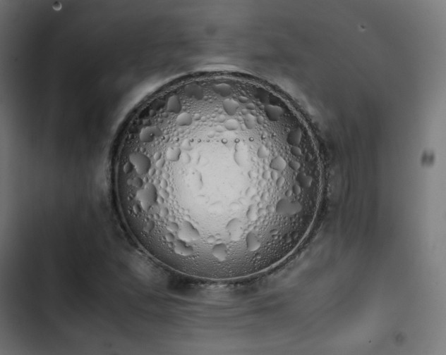 X0000103501167200809121732