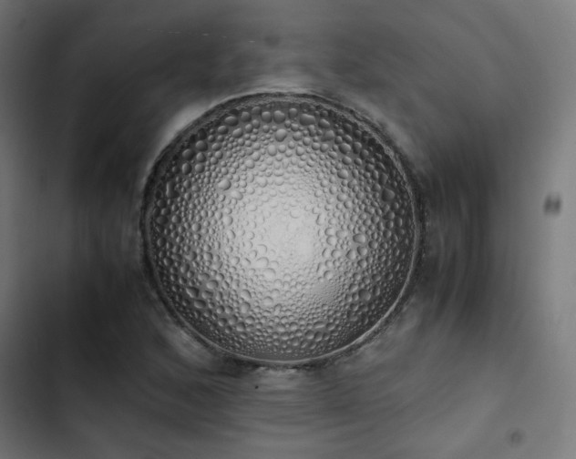 X0000103501168200809121732