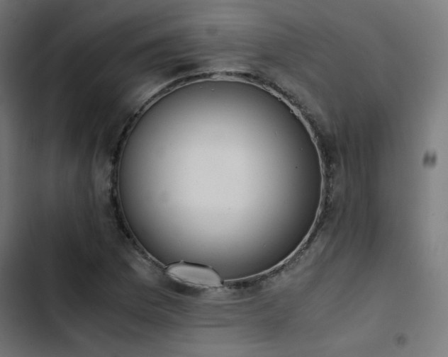 X0000103501169200809121732