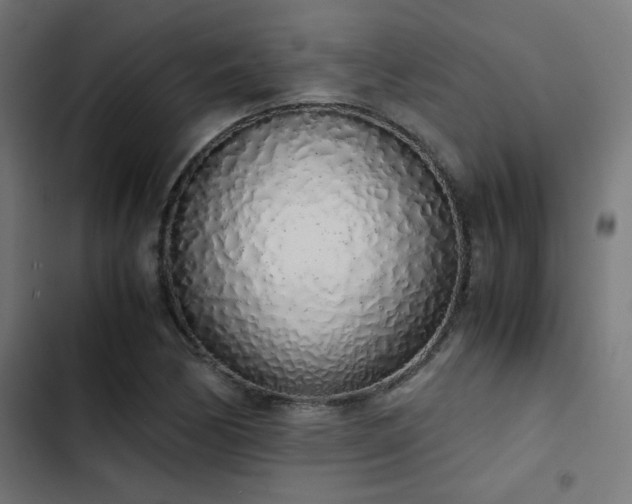 X0000103501170200809121731