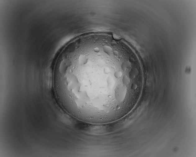 X0000103501171200809121731