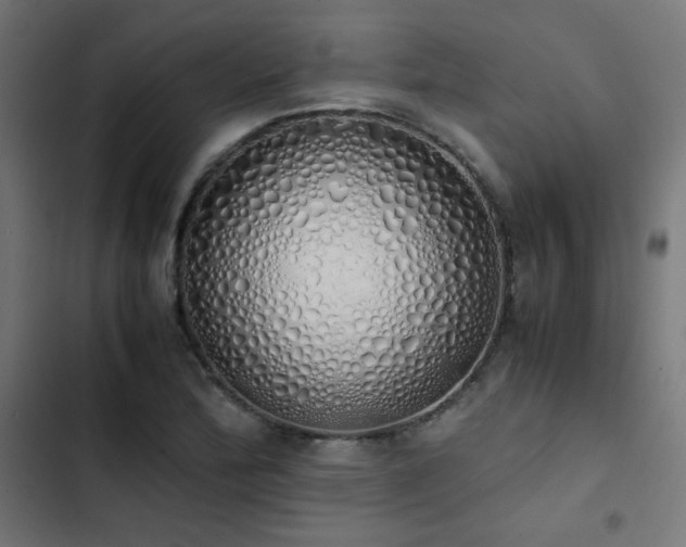 X0000103501172200809121731