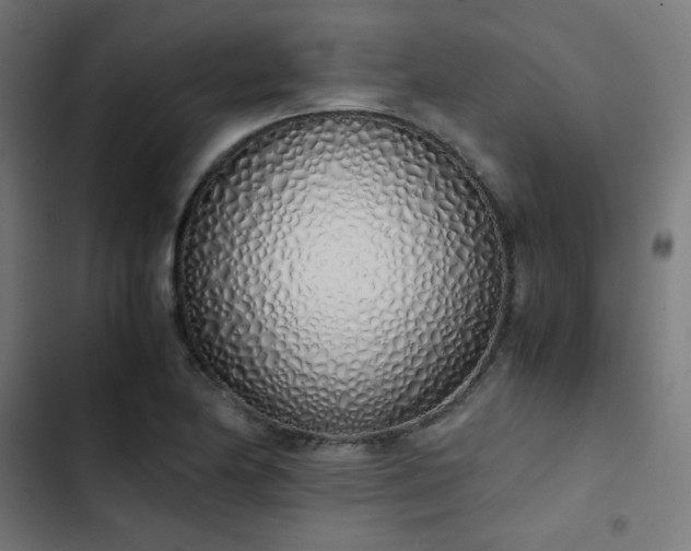 X0000103501174200809121731