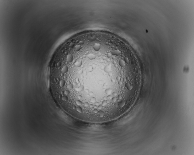 X0000103501175200809121731