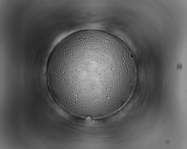 X0000103501176200809121731