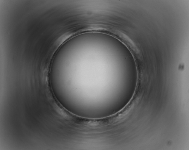 X0000103501177200809121731