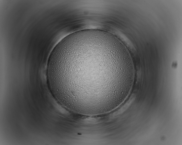 X0000103501178200809121731