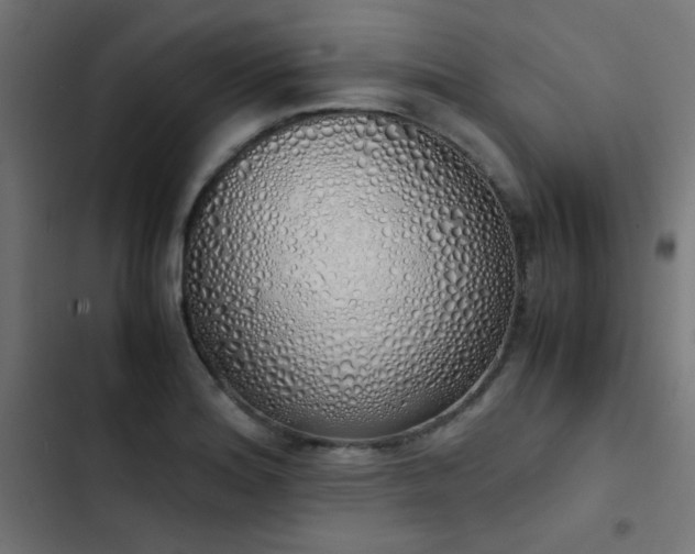 X0000103501180200809121731