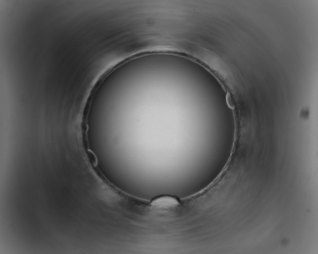 X0000103501181200809121731