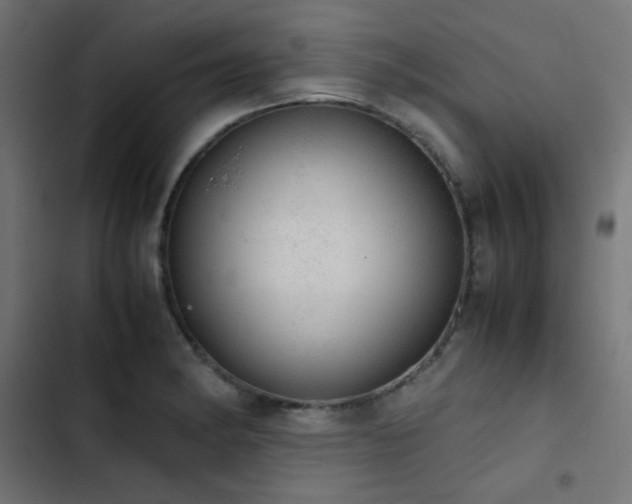 X0000103501182200809121731