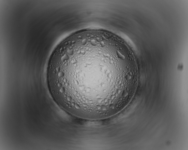 X0000103501183200809121731