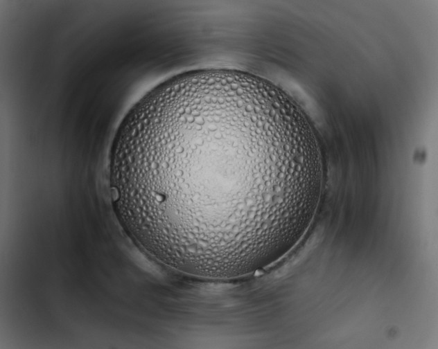 X0000103501184200809121731