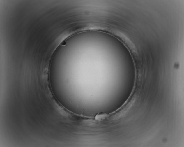 X0000103501185200809121731