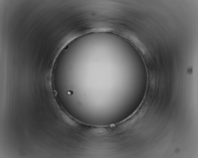 X0000103501186200809121731