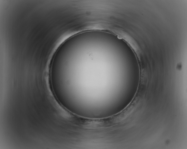 X0000103501187200809121731