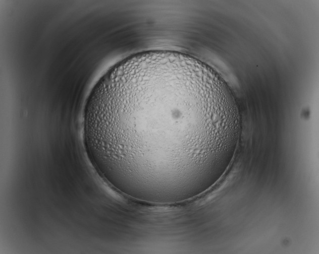 X0000103501188200809121731