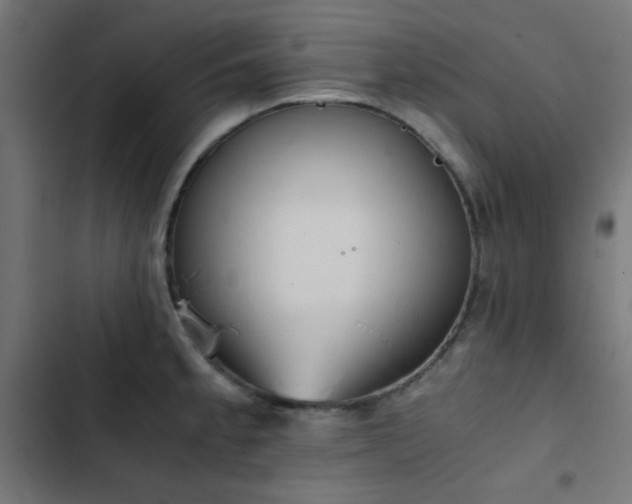 X0000103501189200809121731