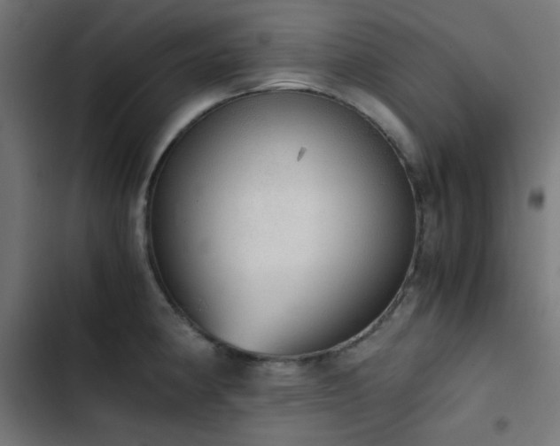 X0000103501190200809121731