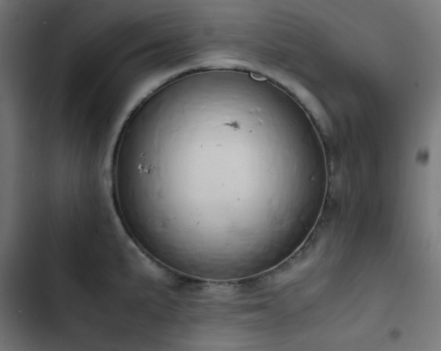 X0000103501191200809121731