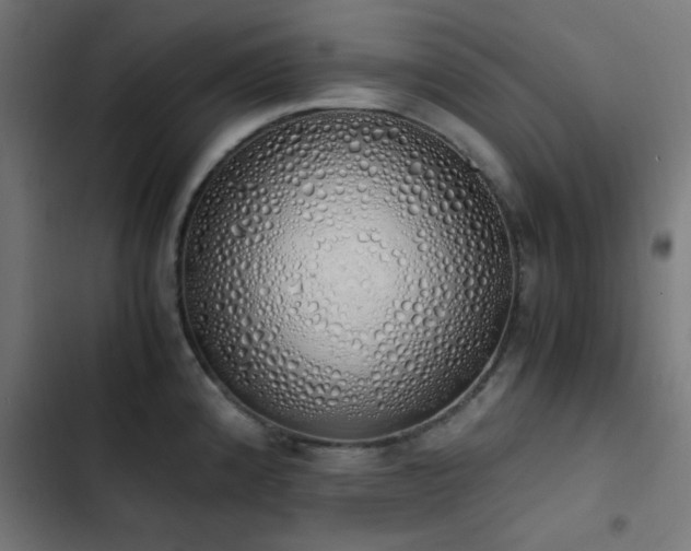 X0000103501192200809121731