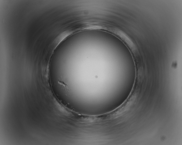 X0000103501193200809121731