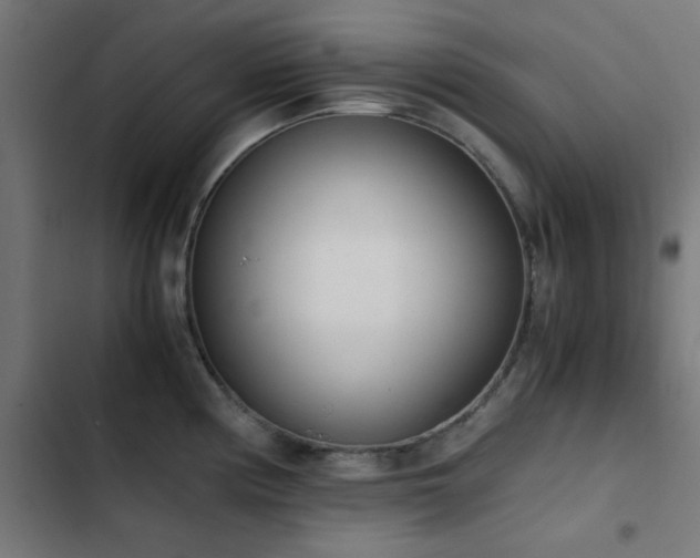 X0000103501194200809121731