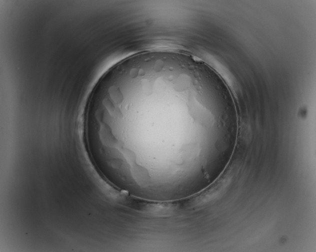 X0000103501195200809121731