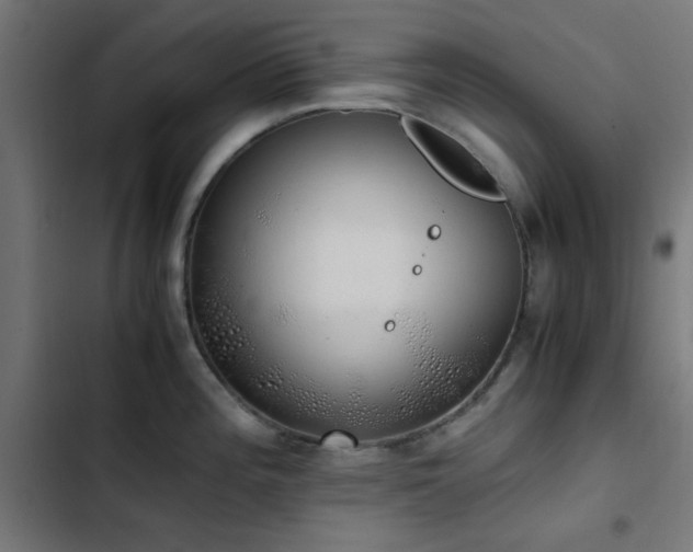 X0000103501196200809121731